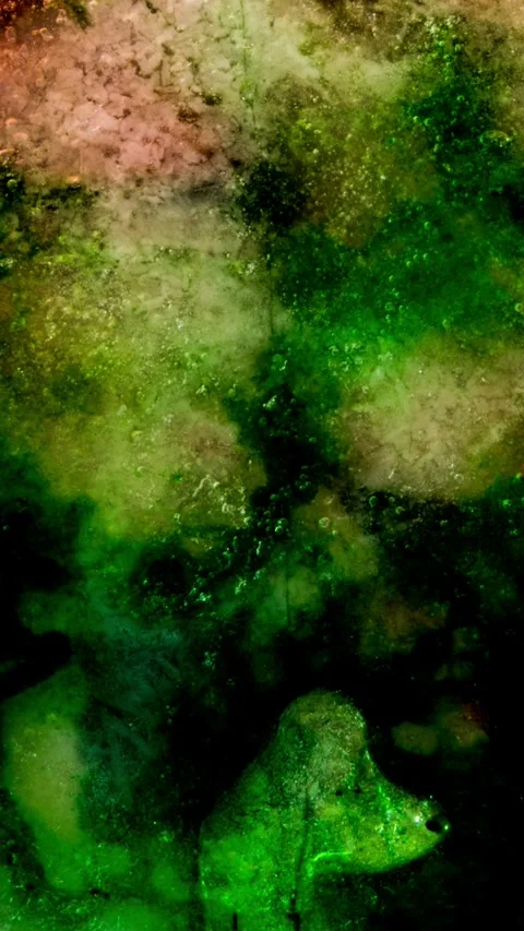 Green Ice Plate Melting Vertical Time Lapse Abstract Transition Stock Footage 337328305