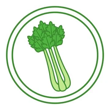 Green Icon Contains Celery. Vector Icon. Natural and Organic Food, Healthy .. Stock Illustration