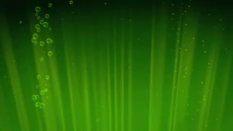Green igital Matrix Code Rain Animation Stock Footage 310941045