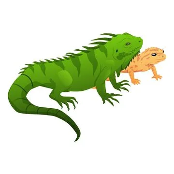 Green iguana and yellow lizard icon, standing next to each other, exotic pets. Stock Illustration