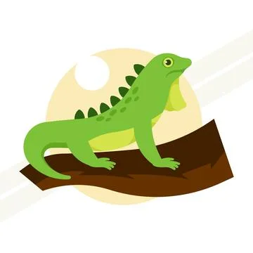 Green-iguana Stock Illustration