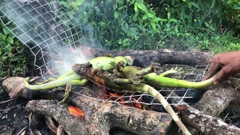 Green Iguana for roasting Stock Footage 219706917