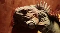 Green iguana in terrarium HD Footage