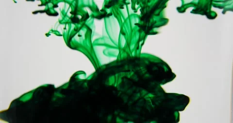 Green ink motion background effect dropping into liquid spinning isolated Stock Footage 219240000