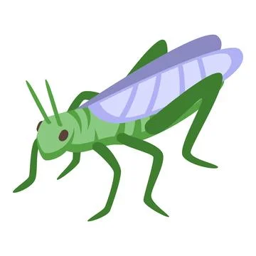 Green insect icon isometric vector. Happy insect fly Illustrazione stock