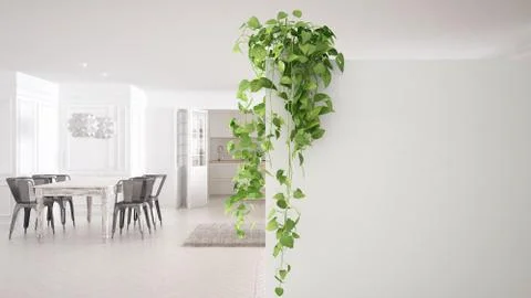 Green interior design concept background with copy space, foreground white wa Stock Illustration