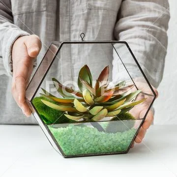 Green interior design. Professional florist's service concept. Stock Photos