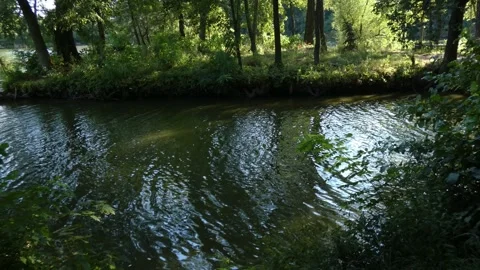 Green island shoreline reflection on river Vídeo Stock 339364434