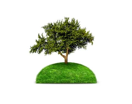 Green isolated tree Stock Illustration
