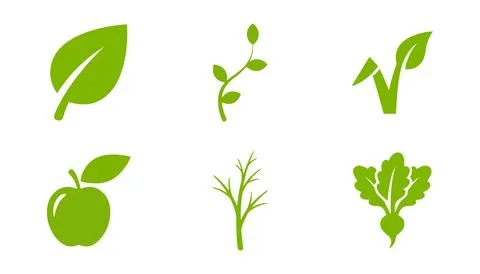 Green isolated vegetable and leaf icons set Vector Stock-Illustration
