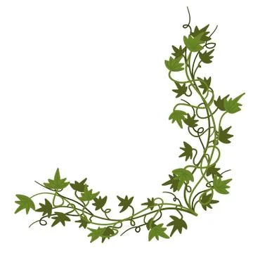 Green ivy corner Stock Illustration