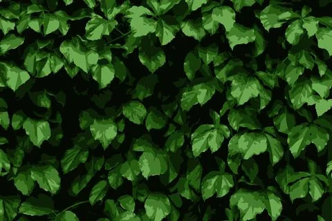 Green Ivy Foliage Pattern Background - Vector Graphic Illustrazione stock