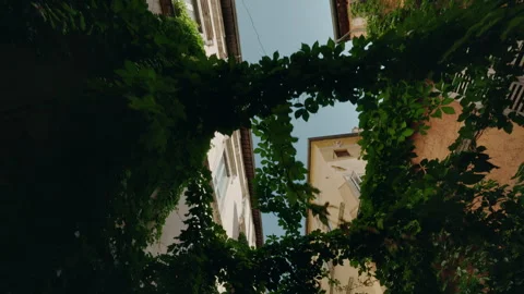 Green ivy frames a narrow Roman street view looking up between historic Stock Footage 317134357