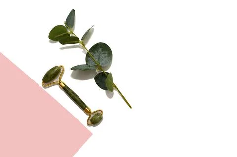 Green jade roller and eucalyptus branch on double background. Stock Photos