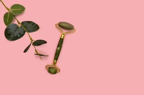 Green jade roller and eucalyptus branch on a pink background. Stock Photos