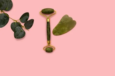 Green jade roller and eucalyptus branch on a pink background. Stock Photos