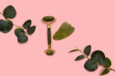 Green jade roller and eucalyptus branch on a pink background. 写真素材