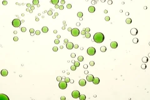 Green juice bubbles flows over a light blurred background Stock Photos