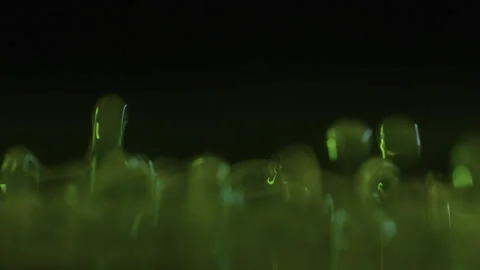 Green Jumping Tiny Particles On A Black Background. Design. Small Moving Green Stock Footage 255118952