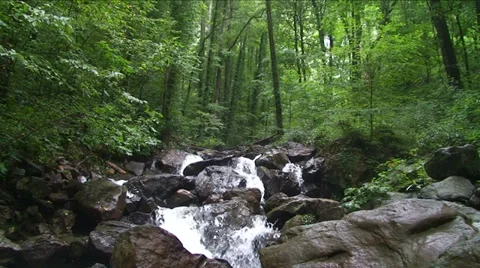 Green Jungle Stream Stock Footage 29805172