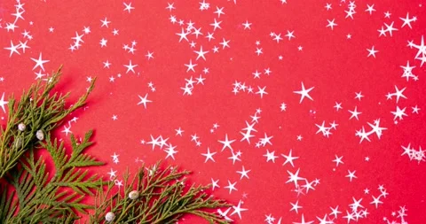 Green juniper branch on red animated background with shiny stars, christmas Video stock 162624246