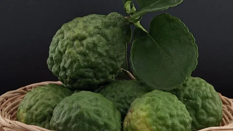 The green kaffir lime fruit. Stock Footage 310249468