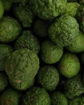 Green kaffir lime Foto stock