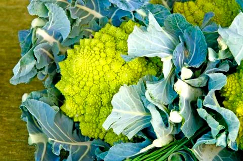 Green kale Stock Photos