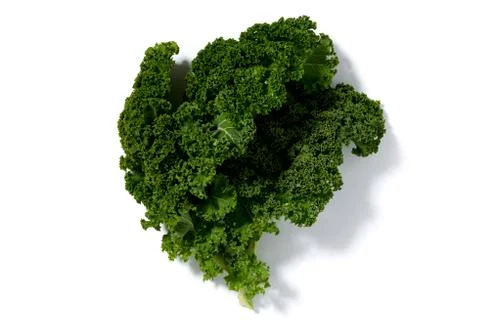 Green Kale on a White Background Foto stock