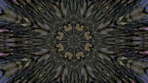 Green kaleidoscope Stock Footage 22481050
