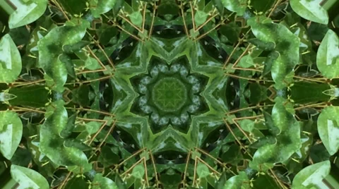Green Kaleidoscope Stock Footage 33935225