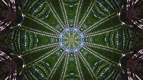 Green kaleidoscope sequence patterns. Abstract multicolored motion graphics 库存影片 149760344