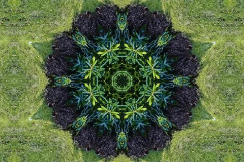 Green kaleidoscopic patterns Stock Illustration