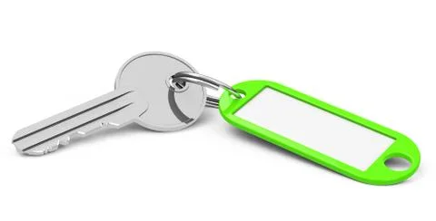 The green keychain Stock Illustration