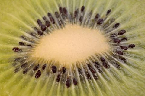 Green kiwi fruit Stock Photos