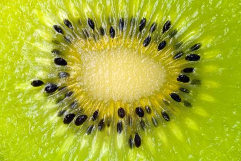 Green kiwi fruit slice Stock Photos