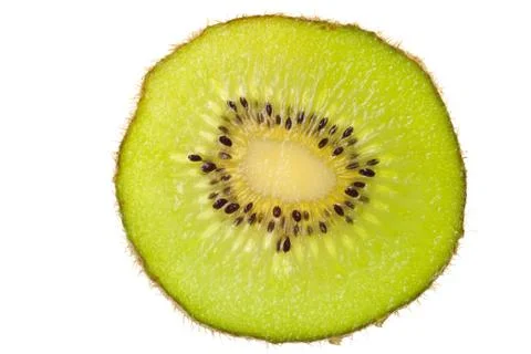 Green kiwi slice fruit Foto stock