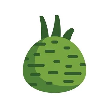 Green kohlrabi root vegetable growing with leaves illustration Stock Illustration