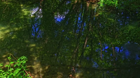 Green Krka River Stock Footage 46061478