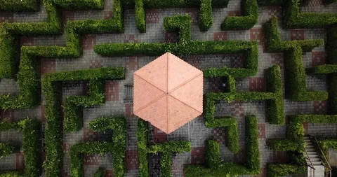 Green Labyrinth Stock Footage 88526426