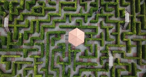 Green Labyrinth Stock Footage 88580036