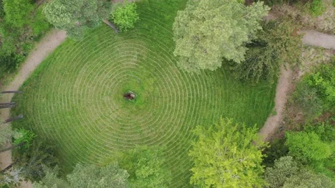 Green labyrinth in forest park, aerial  Stock Video  Pond5