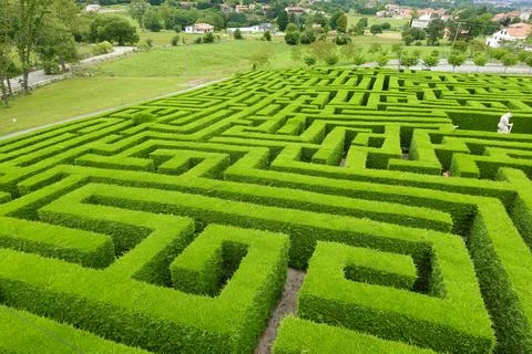 Green labyrinth garden creating a complex puzzle in a park 스톡 사진