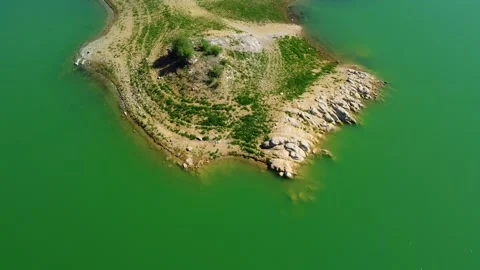Green lake and a tree 動画素材 247709541