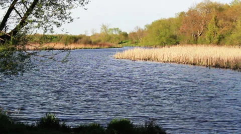 Green Lake Area in Springtime Stock Footage 36598218