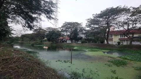 Green Lake, Bright to Dark Stock-Footage 339074514