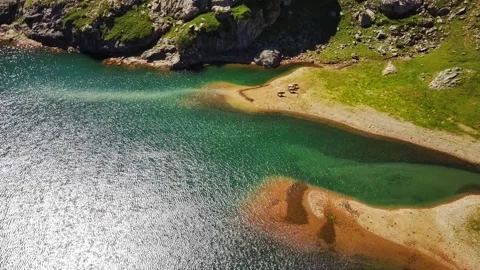 Green Lake with Cows Stock Footage 137959346