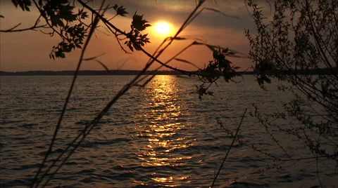 Green Lake Evening Sunset 動画素材 38420568