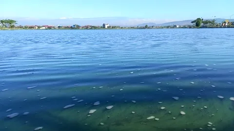 Green lake 스톡 동영상 157240241