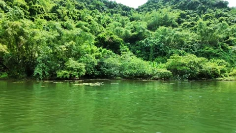 Green lake 库存影片 305588115